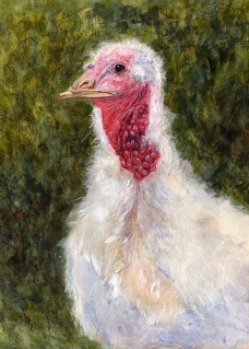 Thanksgiving Day Portrait 2007 © Cheryl L Miller 16" X 12" Watercolor With Rice Paper