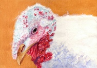 Happy Thanksgiving 2009 © Cheryl L Miller 12" X 16" Watercolor With Rice Paper