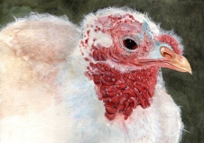 Happy Thanksgiving 2010 © Cheryl L Miller 12" X 16" Watercolor With Rice Paper
