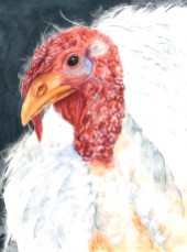 Thanksgiving Day Portrait 2019 © Cheryl L Miller 12" X 9" Watercolor With Rice Paper